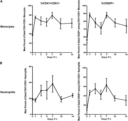 Figure 6. Profiles of platelet-monocyte or neutrophil-leukocyte aggregation. Kinetics of platelet-leukocyte aggregation were presented as percentage of the gated event. A similar pattern of platelet aggregation with monocytes (A) or neutrophils (B) was observed. P.I. indicates postinfection. Error bars indicate 1 SD.
