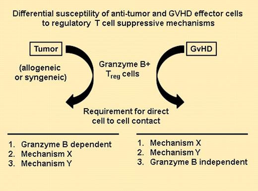 Distinct pathways of CD4+Foxp3+ regulatory T cell–mediated suppression of GVHD and GVL.