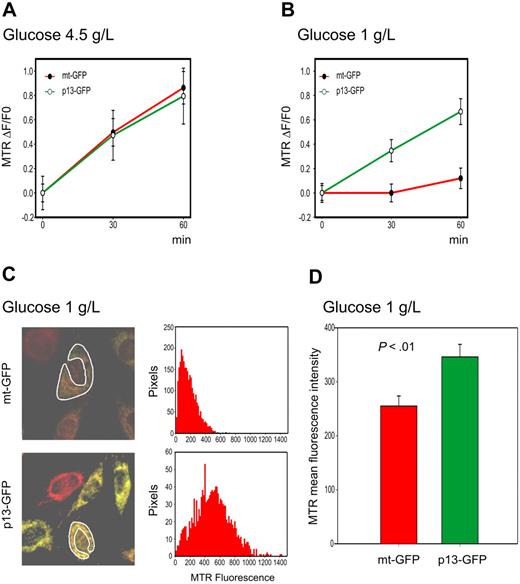 Figure 3. Effects of p13 on ROS production in HeLa cells. HeLa cells were transfected with plasmids expressing p13-GFP or mt-GFP and cultured in standard (4.5 g/L) or low (1 g/L) glucose medium and loaded with MitoTracker Red H2-MTR. MTR signals were analyzed by confocal microscopy and quantitated in regions of interest (ROI) using the Histogram software tool in a time-lapse experiment of 30 minutes. (A-B) Plots show the fractional rate of accumulation of MTR (ΔF/F0, as described in “Analysis of ROS production in living cells”) over time. Data represent mean and SE of ΔF/F0 recorded in at least 60 cells per time point per sample in 3 independent experiments. (C) Representative end-point fluorescence recordings and an example of the quantitation of the MTR signals over the indicated ROI. This analysis was carried out on at least 30 cells in randomly selected fields, with data collected after 30 minutes from a total of 3 experiments. (D) Presents the resulting mean MTR fluorescence values and SE bars. The effects of p13 on ROS were specifically triggered in response to glucose deprivation (P < .01 by Student t test).