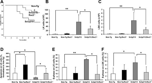 Figure 1. Loss of Rac2 GTPase increases survival of Scl/p210;Rac2−/− mice by impairing the LSC/P pool size in vivo. (A) Cumulative survival using the Kaplan-Meier log-rank P test performed among Non-Tg, Scl/p210, and Scl/p210;Rac2−/− mice (n = 14-22 mice per group). (B-C) Content of (B) Lin−Sca1−c-kit+ (LK) and of (C) Lin−Sca1+c-kit+ (LSK) cells in Non-Tg, Non-Tg;Rac2−/−, Scl/p210 and Scl/p210;Rac2−/− spleens. Data represent mean ± SD (n = 8 mice per group). (D) Apoptosis of Non-Tg, Non-Tg;Rac2−/−, Scl/p210 and Scl/p210;Rac2−/− hematopoietic progenitors in vivo. Data (normalized with respect to Non-Tg control; mean ± SEM) represent the average of 2 independent experiments including a minimum of 8 mice per group. (E-F) Proliferation of (E) LK and of (F) LSK cells in Non-Tg, Non-Tg;Rac2−/−, Scl/p210 and Scl/p210;Rac2−/− spleens in vivo. Proliferation was determined by measuring the uptake of BrdU in vivo. Data (mean ± SD) represent 1 of 3 independent experiments with identical results (n = 4 mice per group). *P < .05 and **P < .005 between the respective groups.
