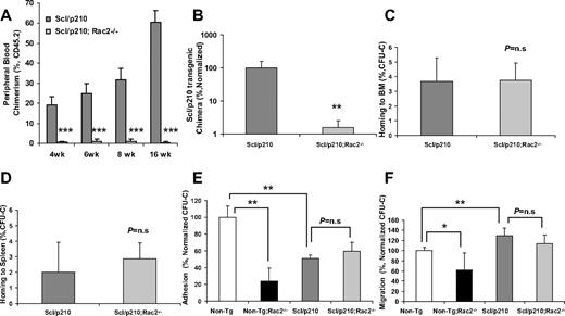 Figure 2. Scl/p210;Rac2−/− LSCs fail to outcompete with wild-type HSCs during competitive repopulation in vivo. (A) Evolution of peripheral blood chimerism of CD45.2+ Scl/p210 or Scl/p210;Rac2−/− splenocytes, competitively transplanted with CD45.1+ WT BM cells, into lethally-irradiated CD45.1+ mice. Data represent mean ± SD (n = 8 mice per group). (B) Scl/p210-transgenic chimera in peripheral blood of WT recipient mice after 6 weeks of competitive transplantation as determined by genomic DNA b3a2 content of peripheral blood leukocytes. Data represent mean ± SD (n = 8 mice per group). (C-D) Colony-forming unit–cell (CFU-C) homing of Scl/p210 and Scl/p210;Rac2−/− splenic progenitors into lethally-irradiated recipients (C) BM and to (D) spleen in vivo (n = 3 mice per group); P = n.s; not significant). (E) Adhesion to recombinant fibronectin (CH-296) and (F) migration toward CXCL12 of Non-Tg, Non-Tg;Rac2−/−, Scl/p210 and Scl/p210;Rac2−/− hematopoietic progenitors in vitro. Data (mean ± SD) represent 1 of the 2 independent experiments performed each per triplicate of pools of 5 mice per group and experiment. *P < .05, **P = .01, and ***P < .005 between the respective groups.