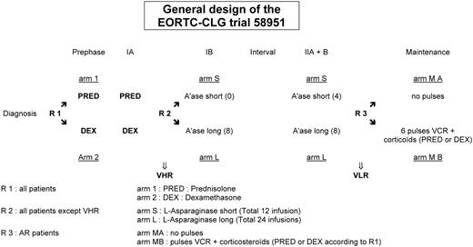Figure 1. General scheme of the EORTC-CLG 58951 trial.