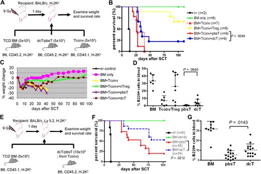 Figure 3. DcTs mitigate GVHD. (A) Schema of the experiments. 9 Gy total-body irradiation was used to condition recipient mice (Balb/c). B6 mice (CD45.2) TCD BM (5 × 106 cells) were used as a stem cell source. To induce GVHD, 5 × 105 B6 Tconv (CD45.1) was infused along with donor TCD BM. To test suppressor function of dcTs, 5 × 105 B6 CD4+CD25+ nTregs (for control), pbsTs or dcTs (all CD45.2) generated from CD4+CD25− T cells were injected with TCD BM and Tconv. (B-D) Mice that underwent a transplantation with dcTs show significantly higher survival rate (B) and less weight loss (C) than mice infused with pbsTs and a trend toward increase of B cells (D) analyzed 1 month after transplantation. A pool of 2 independent experiments. (E) Schema of the experiments. B6 mice (CD45.1) TCD BM (5 × 106 cells) were used as a stem cell source. A total of 10 × 106 pbsTs/dcTs generated from Tconv (B6, CD45.2) were given. (F-G) Mice that underwent a transplantation with dcTs show significantly higher survival rate (F) and more B cells (G) than mice that received pbsTs. A pool of 3 independent experiments analyzed 1 month after transplantation.