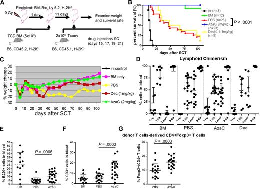 Figure 4. AzaC treatment of mice that underwent a transplantation with delayed allogeneic T cells mitigates GVHD. (A) Schema of the experiments. B6 mice (CD45.2) TCD BM (5 × 106 cells) were used as a stem cell source. To induce GVHD, 2 × 106 Tconv (B6, CD45.1) were given on day 11 after SCT followed by the treatment with AzaC/Dec/PBS (every other day; 4 doses) starting on day 15 after SCT. (B-F) Mice treated with AzaC (2 mg/kg) show significantly higher survival rate (B), less weight loss (C), and more B cells (E) and T cells (F) with donor engraftment (D) than mice infused with pbsTs. (G) AzaC group also show increased Treg population in peripheral blood. T rec: T cells from recipient; T BM: T cells from donor BM; T donT: T cells from donor T cells; B BM: B cells from donor BM. (D-G) Analyzed 1 month after transplantation. A pool of 4 independent experiments.