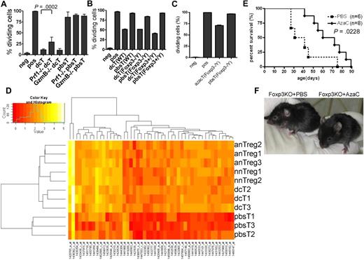Figure 7. Mechanism of hypomethylating agent-induced generation of Tregs. (A) Perforin (Prf1) is partially required for the suppressor function of dcT. DcTs from both WT and granzyme B (GzmB)–deficient mice were equally suppressive while those from Prf1-deficient mice were significantly less suppressive. A pool of 2 independent experiments. (B-C) The impact of dcTs (B) and azacTs (C) from WT, Foxp3 heterozygote (Foxp3+/Y) and Foxp3 deficient (Foxp3−/Y) mice on Teffs were compared in proliferation assays. They are equally suppressive regardless of their origins. Neg: negative control, CFSE-labeled Teffs alone; pos: CFSE-labeled Teffs with stimulators, anti-CD3/CD28 antibody coated beads or allogeneic APC; all others contain both CFSE-labeled Teffs and stimulators plus indicated cells. (D) GA-Mantel33 analysis was run 100 times. Forty-nine probes appeared in at least 30 of 100 solutions (Mantel correlation = 0.97). Foxp3 is the most frequently selected probe. Heat map shows these 49 probes that separate the 3 Treg groups from the pbsT group. nnTreg: naive nTregs (n = 2), anTreg: activated nTregs (n = 3), dcT (n = 3), pbsT (n = 3). (E) AzaC treatment prolongs survival of Foxp3 deficient mice. A treatment of 2 mg/kg AzaC was given every other day (4 doses) starting at 16 to 26 days of age. A pool of 4 independent experiments. (F) Shown are 41-day-old Foxp3 KO mice treated with PBS (left) and AzaC (right); 25% (n = 8) had WT-looking ears.