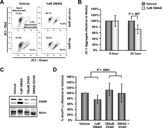 Figure 2. 17-DMAG–mediated cytotoxicity is caspase dependent. (A) Representative JC-1 flow diagram of CLL patient cells treated with vehicle or 1μM 17-DMAG for 24 hours. The percentage of cells containing intact mitochondria and depolarized mitochondria are indicated. The data are shown gated on live cells by forward and side scatter properties (top row) or ungated (bottom row). (B) Analysis of mitochondrial membrane potential in vehicle control or 1μM 17-DMAG–treated CLL at 8 and 24 hours by JC-1 staining (n = 6). Values shown in this experiment were calculated as a decrease in the JC-1 aggregate relative to the vehicle control. (C) Western blot analysis for PARP in whole cell lysate prepared from CLL patient cells treated with vehicle control or 1μM 17-DMAG for 24 hours in the presence or absence of 100μM caspase inhibitor z-VAD-fmk. Blots are probed with actin as a loading control. Results shown are representative of at least 6 patient samples. (D) Viability of CLL patient cells (n = 12) treated with vehicle control or 1μM 17-DMAG for 24 hours in the presence or absence of 100μM caspase inhibitor z-VAD-fmk determined by Ann/PI staining.