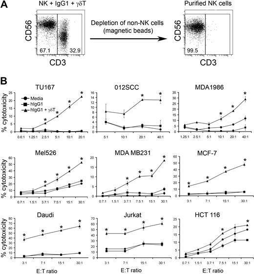 Figure 2. γδ T lymphocytes induce NK cell–mediated cytotoxicity against various tumor cell lines. (A) Purified NK cells were cultured with bulk IPP-expanded peripheral blood mononuclear cells (PBMCs) at a 2:1 ratio for 48 hours (ie, 2 NK cells/1 IPP-expanded PBMC). IPP-expanded PBMCs in these experiments contained 70% to 80% γδ T lymphocytes, so the actual ratio of NK cells to IPP-expanded γδ T lymphocytes was approximately 2:0.8. NK cells were repurified from the cultures by immunomagnetic depletion of non-NK cells. Representative dot plots of NK + γδ T cells (right) and NK cells purified after 48 hours of culture (left) are shown. (B) Cytolytic activity of NK cells purified after coculture with expanded γδ T cells and immobilized hIgG1 (2.5 μg/mL) for 48 hours was analyzed in a standard 4-hour 51Cr-release assay against indicated tumor targets. Data are presented as mean ± SD of triplicate samples and are representative of 7 independent experiments. *P < .05 compared with NK cells cultured with hIgG1 alone.