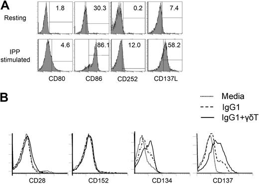 Figure 4. Expression of costimulatory ligands and receptors on γδ T lymphocytes and NK cells. (A) Fresh γδT lymphocytes from healthy donors (top histograms) or γδT lymphocytes expanded in the presence of IPP+IL-2 (bottom histograms) were stained with mAbs specific for CD80, CD86, CD252 (OX40L) and CD137L (41BBL). The expression of indicated costimulatory ligands on gated CD3+γδTCR+ cells is shown. (B) NK cells cultured with media alone or immobilized hIgG1 with or without in vitro expanded γδ T lymphocytes for 48 hours were stained with mAbs specific for CD28, CD152 (CTLA-4), CD134 (OX40), and CD137 (4-1BB). Overlays of histograms representing gated CD3−CD56+ NK cells are shown. Depicted data represent 1 of 5 independent experiments.