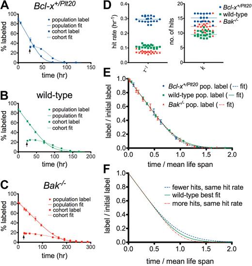 Figure 1. Steady-state platelet survival data in mutant mice cast doubt on the multiple-hit model. Best fits (minimized sum of squared residuals) for populations and cohorts of platelets in (A) Bcl-x+/Plt20, (B) wild-type, and (C) Bak−/− mice. Data points are the mean of replicates (4 for Bcl-x+/Plt20, 6 for wild-type and Bak−/−), and error bars represent one SD. Arrows indicate the time of biotin injection to establish the cohort label (24 hours). The efficiency of labeling (∼ 90% for X488 and ∼ 60% for biotin) and the half-life of biotin were accounted for in the fitting procedure (“Methods” and supplemental data). (D) Monte-Carlo bootstrap resampling was performed for each genotype to generate estimates of the best-fit model parameters: hit rate, τ−1, and number of hits, k (20 samples; horizontal line and error bars represent median and interquartile range). The differences between any 2 genotypes are statistically significant (P < .001, 2-tailed unpaired t test) for either parameter; however, the magnitudes of the differences are clearly greater for the rate of hits. (E) Model fits to population survival data with label scaled by the initial percentage and time scaled by mean life span extracted from the best fits (curves overlay, same shape). (F) Expected (theoretical) curves if the rate of hits were the same in Bcl-x+/Plt20 or Bak−/− mice as in wild-type, and the decreased or increased mean life span were instead the result of differences in the number of hits that could be endured (note the shape change). Numerical values for the best-fit model parameters are reported in supplemental Table 1.