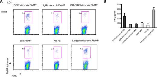 Figure 3. DCIR allows cross-presentation of proteins by LCs. (A) Skin-derived LCs from an HLA-A201+ donor were targeted with 8nM each of anti-DC.doc-coh.FluMP, IgG4.doc-coh.FluMP conjugate mAbs, or free FluMP matured with CD40L, and cocultured with autologous CD8+ T cells. Ten days later, CD8+ T-cell expansion was evaluated by specific HLA-A201–FluMP(58-66) tetramer staining. Data are representative of 2 independent experiments performed with cells from 2 different donors. (B) IFN-γ levels as measured by Luminex in the culture supernatant of CD8+ T cells expanded for 10 days by autologous skin LCs targeted with anti–DCIR.doc-coh.FluMP or IgG4.doc-coh.FluMP conjugate mAbs. Graph represents mean ± SD; n = 3.
