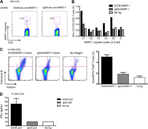 Figure 5. Cross-priming of Mart-1 and HIV gag p24 protein by anti-DCIR fusion mAb. (A) Skin-derived LCs from an HLA-A201+ donor were purified and cultured for 10 days with autologous purified T cells in the presence of 30nM anti–DCIR.doc-coh.MART-1 or IgG4.doc-coh.MART-1 conjugate mAbs. DCs were activated with CD40L. MART-1–specific CD8+ T-cell expansion was measured with a specific HLA-A201-MART-1(26-35) tetramer. (B) Anti–DCIR-MART-1 or IgG4-MART-1 (25nM) fusion proteins were used to target monocyte-derived IFN-α DCs. DCs were activated with CD40L and cultured with naive autologous CD8+ T cells. After 10 days, cells were restimulated for 24 hours with fresh DCs loaded with peptides derived from MART-1 protein or with unloaded DCs as a control. Plot shows the percentage of primed CD8+ T cells coexpressing IFN-γ and CD107a in response to a specific MART-1 peptide cluster. (C) CD34+-derived LCs were targeted with DCIR-MART-1 or control IgG4-MART-1 fusion proteins and cultured with naive CD8+ T cells for 9 days. Graph represents the percentage of cells coexpressing Granzyme B and perforin as analyzed at the end of the culture by flow cytometry. Values in the graph are the average of triplicates ± SD. Data are representative of 2 independent experiments. (D) Anti–DCIR-p24 or control IgG4-p24 (25nM) fusion proteins were used to target CD34+-derived LCs. DCs were activated with CD40L and cultured with naive autologous CD8+ T cells. After 2 consecutive stimulations, the proliferated cells were sorted and restimulated for 24 hours with fresh LCs and HIV gag p24 protein to evaluate IFN-γ secretion by Luminex. Cells with no protein served as a control. Values are average of duplicates. Data are representative of 2 independent experiments.