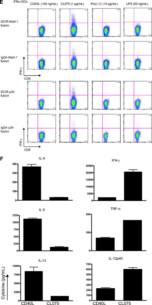 Figure 7. TLR7/8-signaling enhances DCIR-mediated primary CD8+ T-cell response by mDCs. (A) Blood-derived mDCs from an HLA-A201+ donor were targeted with 17nM of anti–DCIR-MART-1 or a control IgG4-MART-1 fusion proteins, activated with CD40L (100 ng/mL), CL075 (1 μg/mL), poly I:C (5 μg/mL), or LPS (50 ng/mL) and cocultured with autologous naive CD8+ T cells for 10 days. The expansion of MART-1–specific CD8+ T cells was measured with a specific HLA-A201-MART-1(26-35) tetramer. Data are of 2 independent experiments with 2 different donors. (B) Blood-derived mDCs from an HLA-A201+ donor were targeted with 30nM of anti–DCIR-MART-1 fusion protein or anti–DCIR-p24, activated with either CD40L or TLR7/8 agonists, and cocultured with autologous naive CD8+ T cells for 10 days. (Top panel) The proportions of HLA-A201-MART-1(26-35) peptide tetramer-positive CD8+ T cells expanded by purified blood mDCs cultured with anti–DCIR-MART-1 fusion protein and activated with either CD40L or TLR7/8 agonist. (Bottom panel) The proportions of HLA-A201-HIV gag p24(151-159) peptide tetramer-positive CD8+ T cells expanded by purified blood mDCs targeted with anti–DCIR-p24 fusion protein and activated with either CD40L or TLR7/8 agonist. Data are of 2 independent experiments with 2 different donors. (C) The expression of intracellular effector molecules Granzyme B and perforin was assessed by flow cytometry on CD8+ T cells primed by IFN-α DCs targeted with 10nM of anti–DCIR-MART-1 or IgG4-MART-1 fusion proteins and activated with CD40L, CL075, or a combination of CD40L and CL075. The expression on the antigen specific MART-1(26-35)-positive cells was analyzed by co staining with the corresponding HLA-A201-tetramer. Data are representative of 2 independent experiments. (D) The frequency of MART-1–specific CD8+ T cells, as measured with a specific HLA-A201-MART-1(26-35) tetramer, after expansion with anti–DCIR-MART-1–targeted DCs that were activated with CD40L, TLR7/8 ligand, or a combination of CD40L and TLR7/8 ligand. IgG4-MART-1 fusion protein or no antigen conditions served as controls. Each dot represents a single experiment. (E top panel) IFN-α DCs were targeted with 17nM of anti–DCIR-MART-1 or a control IgG4-MART-1 fusion proteins, activated with CD40L (100 ng/mL), CL075 (1 μg/mL), poly I:C (10 μg/mL), or LPS (50 ng/mL) and cocultured with autologous naive CD8+ T cells. Ten days later, cells were restimulated with fresh DCs that were loaded with 15mer overlapping peptides derived from the MART-1 protein. Plots show the level of intracytoplasmic IFN-γ by CD8+ T cells after 5-hour stimulation in the presence of monensin. Data are representative of 3 independent experiments. (Bottom panel) Anti–DCIR-p24 or a control IgG4-p24 fusion proteins were used as a model antigen. (F) IFN-α DCs were targeted with 113nM anti–DCIR-MART-1 fusion protein activated with either CD40L (100 ng/mL) or CL075 (1 μg/mL) and cocultured with autologous naive CD8+ T cells. Ten days later, cells were restimulated with fresh DCs that were loaded with 15mer overlapping peptides derived from the MART-1 protein. The levels of IL-4, IL-5, IL-13, IFN-γ, TNF-α, and IL-12p40 were measured by Luminex in the culture supernatant after 24 hours. The graph represents mean ± SD; n = 3. (G) IFN-α DCs were targeted with 10nM anti–DCIR-MART-1 (▴) or a control IgG4-MART-1 () fusion proteins activated with either CD40L (100 ng/mL) or CL075 (1 μg/mL), or a combination of CD40L and CL075 and cocultured with autologous naive CD8+ T cells. Coculture in the absence of an antigen served as an additional control (□). Ten days later, cells were restimulated with fresh IFN-α DCs that were loaded with MART-1 fusion protein and analyzed by flow cytometry for their intracellular cytokine production. Graphs show the frequency of IFN-γ (left panel) and IFN-γ+TNF-α+ (right panel) producing CD8+ T cells primed by DCIR-targeted, or control IFN-α DCs after 5-hour restimulation in the presence of monensin and 0.25 μg/mL of anti-CD28/CD49d mAb (n = 3).