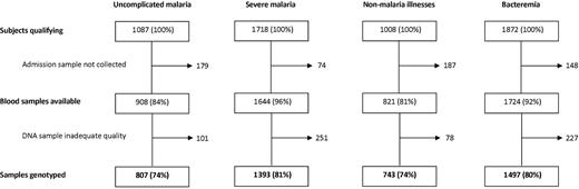 Figure 1. Success rates for Hemoglobin S genotyping. Typing of controls was by electrophoresis using fresh blood and was successful in all subjects.