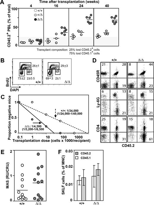 Figure 3. Effect of Baf250aE2E3 on HSC activity. (A) Homozygosity at Baf250aE2E3 allele enhances the competitive repopulation ability of mutant FL cells. WT, Baf250aE2E3, or Baf250aE2E3/E2E3 (CD45.2+) FL cells were mixed in a 1:4 ratio with CD45.1+ WT FL cells, and transplanted into lethally irradiated CD45.1+ recipient mice. Contribution of donor cells in peripheral blood of recipient mice was assessed at different times after transplantation. (B) BrdU incorporation profile of the CD150+CD48−Lin− cell population was assessed after 30 minutes in vivo BrdU pulse. Cell numbers are mean (± SD) values obtained from 3 developmentally matched FL. (C) Limiting dilution analysis for estimation of CRU frequency in WT and mutant FL (2 FL populations and 2 cohorts of recipient mice for each genotype). (D) Lympho-myeloid repopulation of recipient mice transplanted 20 weeks before with 100 000 WT or 10 000 Baf250aE2E3/E2E3 FL cells. Representative FACS profiles demonstrate comparable contributions of the transplant cell populations to repopulation of myeloid (Ly6G+), B lymphoid (CD45R+), and T lymphoid (CD4+) PBL. Average value in each quadrant represents number determined for mice (n = 5 in each group). (E) Proliferation potential of the transplanted HSCs. MAS, or proportion of PBL generated by individual transplant test CRU, was determined for groups of mice (n = 12) transplanted with low numbers (1-3) of Ly45.2+ WT or Baf250aE2E3/E2E3 FL CRU, together with 10 BM-derived competitor Ly45.1+CRU. (F) Contributions of the transplanted WT and Baf250aE2E3/E2E3 CRUs to regeneration of adult HSC pool. Proportions of test CD45.2+ and competitor CD45.1+-derived CD117+Ly6A/E+ (CD135−Lin− cells) in the BM of recipients described for Figure 1E were determined at 24 weeks after transplantation. Results represent mean (± SD) determined for each group of recipients (n = 5).
