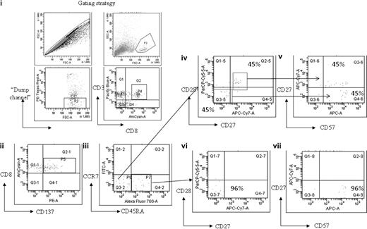 Figure 5. Memory phenotype analysis of MAGE-A2212-220–specific CD8+ T-cell response detected in patient no. UPIN18 after treatment with AZA/VPA. The figure shows flow cytometry plots after magnetic enrichment in which the enriched cells were then costained with antibodies against CCR7, CD45RA, CD27, CD28, and CD57. This enabled a full characterization of T-cell differentiation. The gating strategy used is displayed in fluorescence-activated cell sorter plots (i). Fluorescence-activated cell sorter plot (ii) shows the number of MAGE-A2212-220–specific CD8+ T cells (region P5) that expressed CD137. These cells were then plotted against CCR7 and CD45RA (iii). Cells that were CD45RA−CCR7− (region P6) were further plotted against CD27 and CD28 (iv) and CD27 and CD57 (v). Cells that were CD45RA+CCR7− (region P7) were further plotted against CD27 and CD28 (vi) and CD27 and CD57 (vii).
