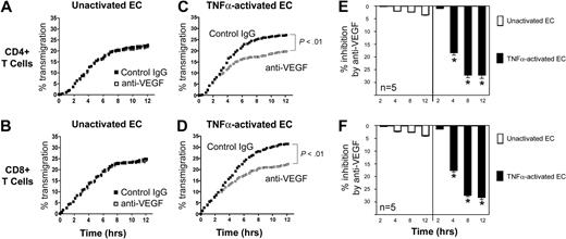 Figure 3. Effect of anti-VEGF on the transmigration of human CD4+ and CD8+ T cells across ECs. Endothelial cells (ECs) were cultured to confluency on FluoroBlok 3μM pore membranes in the upper chambers of transwells. Subsequently, CFSE-labeled T cells (5 × 105 cells) were added into the upper chamber, and migration into the lower chamber was monitored real-time by the assessment of increasing fluorescence. The number of transmigrated cells in each lower chamber was determined using a standard curve, and the percentage of transmigrated cells at each time point was calculated. Transmigration assays were performed in the presence of control IgG (black dots) or anti–human VEGF (Genentech; 1μg/mL, open squares). (A-B) Representative experiment illustrating transmigration across unactivated ECs. No difference between anti-VEGF versus control IgG treatment is evident. (C-D) Representative experiment illustrating transmigration across 6-hour TNFα–activated ECs. (E-F) The mean percentage inhibition of transmigration by anti-VEGF across unactivated (□) or TNFα–activated ECs (■, n = 5 per experimental group). Anti-VEGF significantly inhibits transmigration across activated ECs at times > 2 hours. *P < .01 vs control IgG.