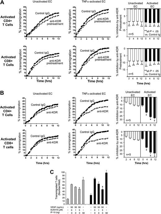 Figure 5. Effect of anti-KDR on the transendothelial migration of mitogen-activated human CD4+ and CD8+ T cells. ECs were cultured to confluency on FluoroBlok 3μM pore transwells. Subsequently, 72-hour mitogen-activated (anti-CD3/CD28) CD4+ or CD8+ T cells were CFSE labeled and added into the upper chamber of transwells, and migration into the lower chamber was monitored in real time. (A) Mitogen-activated T cells were pretreated with control IgG or anti-KDR for 3 hours and were washed in culture medium prior to the migration assay. Representative experiments showing transmigration patterns across untreated or TNFα–activated ECs are illustrated. The bar graphs represent mean percent inhibition of transmigration by anti-KDR pretreatment across unactivated ECs (□) or TNFα-activated ECs (■) in 5 experiments at each time point. **P < .05 comparing anti-KDR pretreated cells versus cells pretreated with control IgG. (B) Transmigration of mitogen-activated CD4+ or CD8+ T cells across unactivated ECs or TNFα-activated ECs in the presence of control IgG (solid dots) or anti-KDR (open squares) for the entire period of the assay. The bar graphs illustrate mean percent inhibition of transmigration by anti-KDR across unactivated ECs (□) or TNFα–activated ECs (■) in n = 5 experiments. *P < .01 comparing the effect of anti-KDR versus control IgG. (C) Unactivated (▨) or 72-hour mitogen-activated CD4+ T cells (■) were placed in the upper chamber of a microchemotaxis Boyden chamber, and migration into the lower chamber was assessed after 4 hours, as described in “Lymphocyte migration assays.” The chemotaxis response to VEGF or IP-10 (as a positive control) is illustrated. As indicated, the T cells were pretreated with SU5416, a pharmacologic KDR signaling inhibitor, prior to and during the chemotaxis assay. The illustrated experiment is representative of at least 3 performed in triplicate wells. P values were calculated using the Student t test (*P < .01).