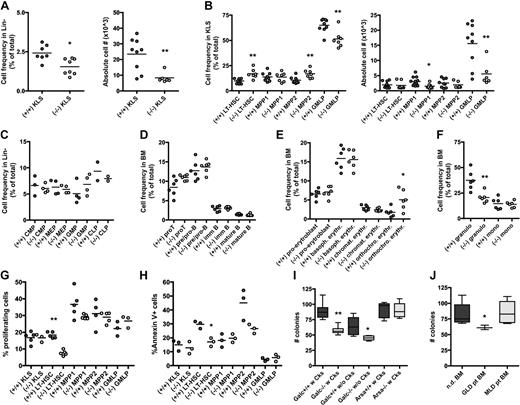 Figure 1. Phenotype and clonogenic potential of Galc−/− HSPCs. (A-F) Immunophenotypic characterization of the BM of Galc−/− mice. Frequency and absolute cell number (#) of c-kit+ Sca1+ cells within lineage− (Lin)− BM cells (KLS; A), and of long-term HSC (LT-HSC), MPP1, MPP2, and GMLP (within the KLS fraction) of −/− and +/+ mice (B). Frequency of lymphoid and myeloid progenitors within Lin− cells (C) of wild-type and mutant mice. Lymphoid (D), erythroid (E), and myeloid (F) differentiation in −/− and +/+ BM. Each dot represents a pool of 3 mice in panels A through C and a single mouse in panels D through F; means are shown. For details on the gating strategy, please see supplemental Table 1. (G-H) Frequency of proliferating cells at Hoechst staining (G) and of apoptotic annexin V positive cells (H) within KLS, LT-HSC, MPP1, MPP2, and GMLP from +/+ and −/− mice. Each dot represents a pool of 3 mice; means are shown. (I-J) Number (#) of colonies retrieved from colony-forming cell assays performed with murine (I) and human (J) HSPCs from wild-type (Galc+/+ and Arsa+/+), Galc−/− and Arsa −/− mice, and from normal donors' (nd) and GLD/MLD patients' BM. Before plating, murine HSPCs were (w) or were not (w/o) prestimulated with a standard cytokine cocktail for 12 hours.12 n ≥ 10 (murine) and n ≥ 3 (human). *P < .05, **P < .01 on 1-way ANOVA.