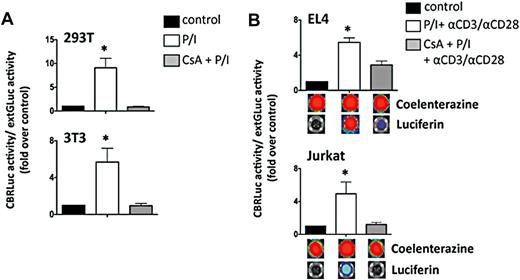 Figure 2. In vitro functionality of NFAT-inducible lentiviral vector. (A) 293T and 3T3 cell lines were transfected with the NFAT vector before stimulation with PMA (100 ng/mL)/ionomycin (1500 ng/mL) for 6 hours in the presence or absence of CsA (300 ng/mL). NFAT-CBRLuc activity normalized to extGLuc activity was measured using a dual luciferase assay and expressed as a fold induction above unstimulated cells. Data shown represent averages ± SEM. 293T, n = 8; 3T3, n = 6. *P < .05, stimulated cells vs control. (B) EL4 and Jurkat cells were transduced with the NFAT vector. Three days after transduction cells were stimulated overnight with PMA (100 ng/mL)/ionomycin (1500 ng/mL) and αCD3/CD28 for 16 hours in the presence or absence of CsA (300 ng/mL). Luciferase activity was detected by using the Dual-Glo Luciferase Assay System (Promega) in a Clarity Luminescence Microplate Reader (BioTek) or using the IVIS bioluminescence imaging system (Xenogen). Data shown represent averages ± SEM. EL4, n = 6; Jurkat, n = 5. *P < .05, stimulated cells vs control.