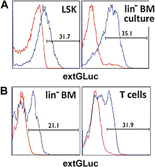 Figure 3. Generation of chimeric mice. (A) Histograms display the transduction efficiency for LSK and lin− BM cells determined by flow cytometric analysis of extGLuc expression. Positive cell numbers are shown as percentage of live (DAPI−) cells. Nontransduced control cells, red. Transduced cells, blue. (B) BM and T cells were harvested from chimeric B6 mice 6-8 weeks after BMT. ExtGLuc expression was determined for lin− BM and CD5+ T cells by flow cytometry analysis. Nontransduced control cells are indicated in red, transduced cells in blue.