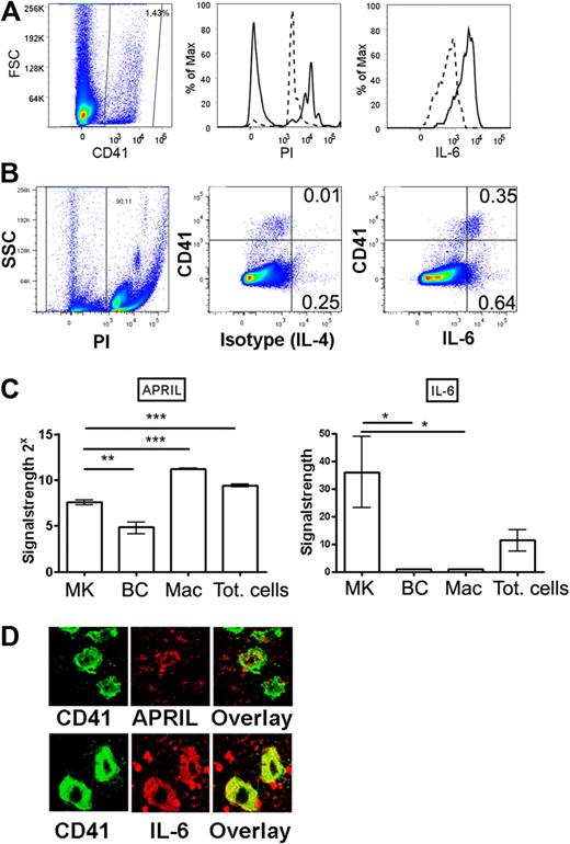 Figure 3. Megakaryocytes produce APRIL and IL-6 in vivo. (A) Bone marrow megakaryocytes were identified by flow cytometry according to CD41 staining (left) and propidium iodide incorporation (middle, as a measure for polyploidy). Propidium iodide content of total bone marrow cells (dashed line, 2n-stadium) was used as a standard. Polyploid CD41+ megakaryocytes (n > 2) were stained for IL-6 (solid line) or isotype control (IL-4, dashed line). (B) Dot plot showing IL-6 or isotype control (IL-4) versus CD41. (C) Megakaryocytes, B cells, and macrophage cells were isolated by FACS, and IL-6 and APRIL expression was determined by quantitative PCR as indicated. MK indicates CD41+ megakaryocyte; BC, B220+ B cell; Mac, CD11b+/F4/80+/Gr-1− macrophages; and Tot, total bone marrow cells. (D) Megakaryocytes were identified on bone marrow sections (femur) by CD41 staining (green) and counterstained for either APRIL or IL-6 (red) as indicated. Controls for IL-6 and APRIL stainings are shown in supplemental Figure 4.
