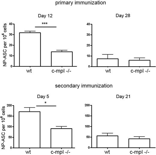 Figure 6. Delayed bone marrow plasma cell response in c-mpl−/− mice. Wild-type and c-mpl−/− mice were immunized with NP-KLH that induces a predominant IgG1 response. NP-specific IgG1-ASCs in bone marrow were quantified at day 12 and day 28 after primary and day 5 and day 21 after secondary immunization by ELISPOT. Frequencies of NP-IgG1-ASCs in the spleen were normal in the c-mpl−/− mice (supplemental Figure 5). Data are mean ± SD for groups of 3 to 5 mice (statistics: unpaired t test).