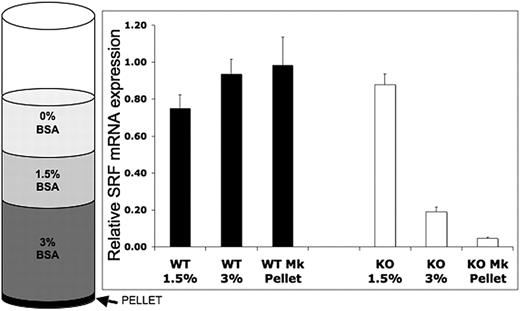 Figure 1. Assessment of megakaryocyte lineage-specific Srf deletion. Bone marrow (BM) from Pf4/Srf+/+ (n = 3) and Pf4/SrfF/F (n = 4) mice was cultured for 4 days in TPO and subjected to BSA gradient separation. Quantitative RT-PCR was performed on the isolated fractions. Mean and SD are shown. P < .01.