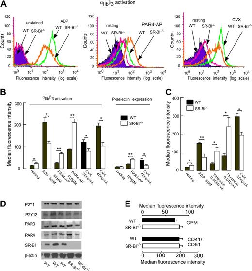Figure 2. SR-BI deficiency modulates platelet integrin αIIbβ3 activation and P-selectin expression in the absence of changes in platelet expression of major receptors. (A-B) Platelets in PRP from WT and SR-BI−/− mice were stimulated with selective protease-activated receptor 4–activating peptides (PAR4-AP), ADP, or convulxin (CVX). Platelet integrin αIIbβ3 activation and P-selectin (CD62) expression were determined using the PE-conjugated antibody for murine αIIbβ3 in the activated conformation (JON/A) or murine P-selectin. (C) Platelets were isolated by gel filtration from mice of indicated genotypes, and activation of integrin αIIbβ3 was assessed by FACS analysis. (A) Flow cytometry histograms from representative experiments are shown. (B-C) Quantification of FACS analysis data presented as mean ± SEM of at least 3 independent experiments. *P < .05, **P < .01. (D) Expression of thrombin receptors PAR4 and PAR3 and ADP receptors P2Y1 and P2Y12 were assessed by Western blotting. (E) Expression of collagen receptor GPVI and αIIbβ3 integrin. Platelets were incubated with FITC-labeled anti-αIIbβ3 or anti-GPVI antibody and analyzed by flow cytometry. Data are presented as mean ± SEM of at least 4 independent experiments.