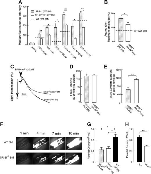 Figure 4. Effects of platelet SR-BI deficiency on the platelet reactivity, platelet cholesterol content, platelet counts, and thrombosis in hyperlipidemic conditions of SR-BI−/− mice. (A) Platelets in PRP from chimeric SR-BI−/− mice with SR-BI−/− bone marrow (BM) or WT BM were stimulated with ADP, PAR4-AP, or convulxin (CVX). Platelet integrin αIIbβ3 activation was determined by FACS analysis (n ≥ 3). (B-C) Platelet aggregation in PRP from SR-BI−/− mice with SR-BI−/− BM or WT BM was induced by 120μM PAR4-AP and was optically monitored. (B) Quantification of the aggregation data. Data are expressed as maximal amplitude of aggregation within 5 minutes after adding the agonist (n ≥ 3). (C) Representative aggregation curves are shown. (D) Platelet cholesterol contents for chimeric SR-BI−/− mice with WT or SR-BI−/− BM. Platelets were stained with 50 μg/mL filipin and analyzed by flow cytometry (n ≥ 3). (E) Times to thrombotic occlusion of carotid arteries of chimeric SR-BI−/− mice with SR-BI−/− BM or WT BM were measured 2 minutes after topical application of 10% FeCl3. Carotid arteries were visualized, and in vivo thrombosis formation was assessed by intravital microscopy as described in “Methods” n = 7. (F) Progression of thrombus in carotid arteries is shown. Times after FeCl3-induced injury are indicated (in minutes). At 10 minutes, the artery from the SR-BI−/− (WT BM) mice was completely occluded, whereas the SR-BI−/− (SR-BI−/− BM) mice showed large thrombi with persistent blood flow. All images were observed under a Leica DM LFS microscope (Leica) with 10×/0.30 objective lens and acquired by a cooled high-speed, color, cooled digital camera (QImaging Retiga EXi Fast 1394) with Streampix high-speed acquisition software. (G-H) Platelet counts in whole blood collected from chimeric SR-BI−/− mice with SR-BI−/− BM or WT BM and from chimeric WT mice with WT BM in panel G, as well as from WT or SR-BI−/− mice in panel H. n ≥ 5. All data are presented as mean ± SEM. *P < .05, **P < .01, ***P < .001.