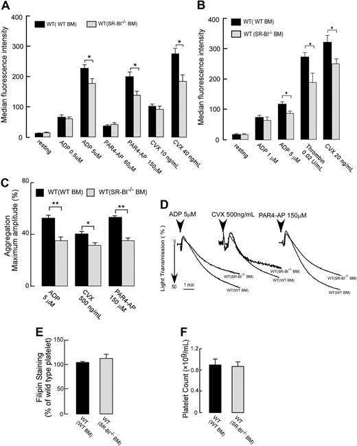 Figure 5. Effects of platelet SR-BI deficiency on the platelet reactivity, platelet cholesterol content, and platelet counts in normolipidemic conditions of WT mice. (A-B) Platelets in PRP in panel A or isolated by gel filtration in panel B from chimeric WT mice with SR-BI−/− BM or WT BM were stimulated with ADP, PAR4-AP, thrombin, or convulxin (CVX), and platelet integrin αIIbβ3 activation was assessed by FACS analysis. (C-D) Platelet aggregation in PRP isolated from chimeric WT mice with SR-BI−/− BM or WT BM was induced by ADP (5μM), convulxin (500 ng/mL), or PAR4-AP (150μM) and was optically monitored. (C) Quantification of the aggregation data. Data are expressed as maximal amplitude of aggregation within 5 minutes after adding the agonist. (D) Representative aggregation curves are shown. (E) Platelet cholesterol contents for chimeric WT mice with WT or SR-BI−/− BM. Platelets were stained with 50 μg/mL filipin and analyzed by flow cytometry. (F) Platelet counts in whole blood collected from chimeric WT mice with SR-BI−/− BM or WT BM. Data are presented as mean ± SEM of at least 3 independent experiments *P < .05, **P < .01.