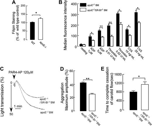 Figure 7. Platelet SR-BI contributes to increased platelet responses and thrombosis in hyperlipidemic apoE−/− mice. (A) Platelets in PRP from apoE−/− mice fed Western-type diet and from matched WT mice were stained with 50 μg/mL filipin to label unesterified cholesterol and analyzed by flow cytometry (n = 4). (B-E) ApoE−/− mice were reconstructed with either apoE−/−/SR-BI−/− bone marrow or apoE−/− bone marrow. One month later, Western diet feeding was started and continued for 6 weeks, and then mice were used for experiments. (B) Agonist-induced platelet integrin αIIbβ3 activation was assessed by flow cytometry in platelet isolated by gel filtration. (n ≥ 3). (C-D) Platelet aggregation in PRP from apoE−/− mice with apoE−/− BM or apoE−/−/SR-BI−/− BM was induced by PAR4-AP and optically monitored. (C) Representative aggregation curves are shown in response to 120μM PAR4-AP. (D) Quantification of the aggregation data expressed as maximal amplitude of aggregation within 5 minutes after induction (n ≥ 3). (E) Times to thrombotic occlusion of carotid arteries of chimeric apoE−/− mice with apoE−/− BM or apoE−/−/SR-BI−/− BM were measured 2 minutes after topical application of 7% FeCl3. n = 11. Data are presented as mean ± SEM. * P < .05, **P < .01.