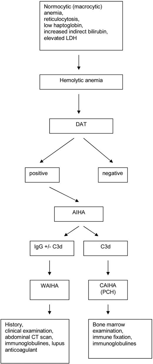 Figure 1. Diagnostic algorithm in AIHA. LDH indicates lactate dehydrogenase; DAT, direct antiglobulin test; and CT, computed tomography.