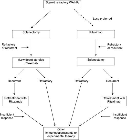Figure 2. Treatment algorithm for steroid-refractory WAIHA.