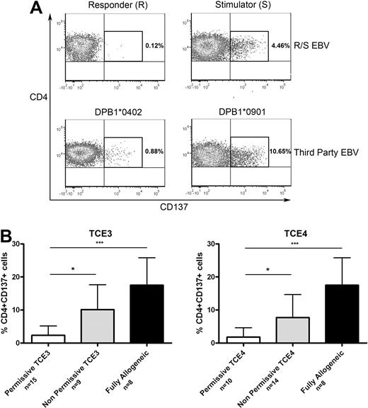Figure 1. Quantification of alloreactive CD4+ T cells responding to permissive or nonpermissive DPB1 TCE3 or TCE4 disparities. Classical 1-way MLRs were set up between R-S pairs of unrelated volunteers selected for the same patient and matched between each other for 10/10 of the HLA-A, -B, -C, -DRB, and -DQB1 alleles, but mismatched for -DPB1. R cells consisted of peripheral blood mononuclear cells (PBMCs), while S cells in most cases were PBMCs depleted of CD3+ T cells, at a ratio of 1:1. After 2 rounds of stimulation in the presence of 150 IU/mL IL-2, CD4+ T cells were rechallenged overnight with B lymphoblastoid cells (BLCLs) from R, S, or from third-party donors sharing only 1 mismatched DPB1 allele with S. Responding T cells were quantified by FACS analysis for surface expression of the activation marker CD137. In several cases, CD4+ T cells expressing CD137 upon challenge with DPB1 typed third-party BLCLs were FACS-sorted and their specificity for the relevant DP alloantigen was confirmed (not shown). (A) Exemplative analysis of alloreactive CD4+ T cells responding to a permissive or a nonpermissive DPB1 mismatch on the same S cell. R and S cells carried DPB1*02:02, 04:01 and DPB1*04:02, 09:01, respectively, and thus S cells presented 1 TCE3/4 permissive (DPB1*04:02) and 1 TCE3/4 nonpermissive (DPB1*09:01) mismatch. (B) Mean percentage of CD4+ T cells responding to permissive or nonpermissive DPB1 mismatches according to TCE3 (left panel) or TCE4 (right panel), in a series of 24 MLRs. At the moment of testing, cultures contained a mean of 53.75% ± 24.94% CD4+ T cells. The mean percentage of T cells expressing CD137 in response to autologous R-BLCLs was 2.06% ± 1.62%. The percentage of T cells responding specifically to allogeneic read-out BLCLs was calculated as the total percentage of CD137+ T cells after allogeneic stimulation minus the percentage of CD137+ T cells after autologous stimulation. Fully allogeneic R-S pairs (n = 8) were used as positive controls and yielded a mean of 17.53% ± 8.28% specifically responding CD4+ T cells, with a mean of 44.75% ± 25.17% CD4+ T cells. Pairwise comparison of the results obtained in the different groups was performed by the Kruskal-Wallis test followed by the Dunn multiple comparison posttest. (Left panel) In the TCE3 permissive group (n = 15), the mismatched DPB1 allele expressed by S was encoded by DPB1*02:01 (n = 4), 02:02 (n = 1), 04:01 (n = 5), 04:02 (n = 3), 11:01 (n = 1), 13:01 (n = 1). In the TCE3 nonpermissive group (n = 9), the mismatched DPB1 allele expressed by S was encoded by DPB1*03:01 (n = 3), 09:01 (n = 2), 10:01 (n = 3) or 17:01 (n = 1). The frequency of CD4+ T cells specifically responding to TCE3 permissive mismatches was significantly lower compared with TCE3 nonpermissive mismatches (*P < .05) and compared with fully mismatched third-party alloantigens (***P < .001). (Right panel) In the TCE4 permissive group (n = 10), the mismatched DPB1 allele expressed by S was encoded by DPB1*04:01 (n = 5), 04:02 (n = 3), 11:01 (n = 1), 13:01 (n = 1). In the TCE4 nonpermissive group (n = 15), the mismatched DPB1 allele expressed by S was encoded by DPB1*02:01 (n = 4), 02:02 (n = 1), 03:01 (n = 3), 09:01 (n = 2), 10:01 (n = 3) or 17:01 (n = 1). The frequency of CD4+ T cells specifically responding to TCE4 permissive mismatches was significantly lower compared with TCE4 nonpermissive mismatches (*P < .05) and compared with fully mismatched third-party alloantigens (***P < .001).