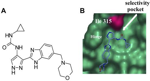 Figure 1. Chemical structure of AT9283 and model of AT9283 bound with ABL. (A) Chemical structure of AT9283. (B) AT9283 does not make a hydrogen bond interaction with T315 in the same way other kinase inhibitors in the class do. The pocket behind the T315 gatekeeper is not occupied by AT9283. Its potency for ABL kinase is not abrogated by mutation of this residue to the bulkier isoleucine (T315I).