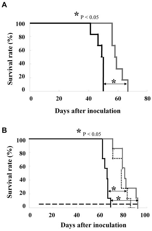 Figure 4. In vivo efficacy of AT9283 in primary samples. Nonlethally irradiated NOD/SCID mice were intravenously inoculated with cells taken from patients with CML harboring BCR-ABL E255K (A) or BCR-ABL T315I (B). Either 6.25 mg/kg AT9283 (gray) or vehicle (black) controlled was administered twice daily (A) on the indicated schedules (- - -). We administered 15 mg/kg AT9283 (gray), 10 mg/kg At9283 (black dot), or vehicle (black) controlled once daily (B) on the indicated schedules (- - -). Kaplan-Meier survival curves show that treatment with 6.25 mg/kg AT9283 twice daily resulted in a significant survival advantage (P = .008) over vehicle-treated animals of 17 days in the E255K model. Similarly, in the T315I model 10 mg/kg per day or 15 mg/kg per day AT9283 resulted in a marked survival advantage (P = .002).