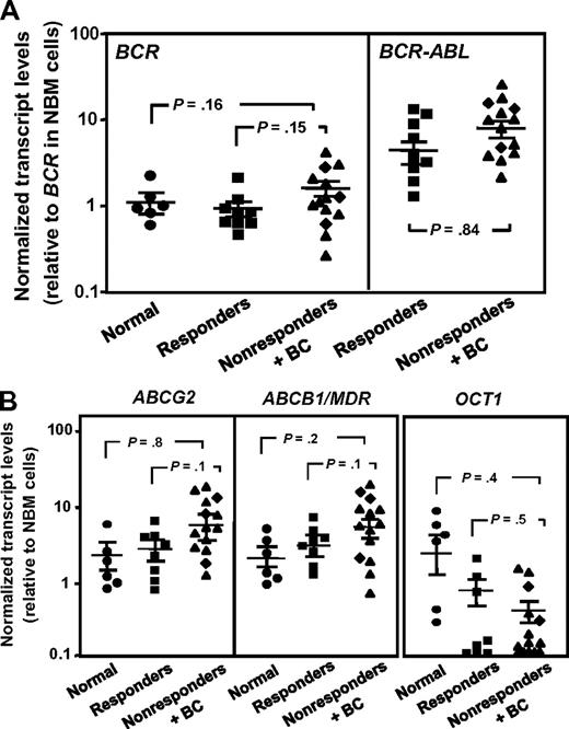 Figure 3. Comparison of BCR-ABL and transport gene transcript levels in CD34+ cells from IM responders and nonresponders. (A) Comparison of BCR (left panel) and BCR-ABL (right panel) transcript levels in CD34+ CML cells from IM responders (n = 9) and nonresponders (n = 14) relative to BCR transcript levels in CD34+ cells isolated from normal persons (n = 6). (B) Comparison of ABCG2 (left panel), ABCB1/MDR (middle panel), and OCT1 (right panel) transcript levels relative to GAPDH transcripts in CD34+ CML cells from IM responders and nonresponders. (♦) Results obtained from the 3 patients who rapidly developed BC. Each data point represents the average of a triplicate quantitative RT-PCR measurement of each transcript normalized as described in “Methods.” Cross bars represent the mean ± SEM of data for each patient group. The differences between the results for IM responders and nonresponders are not significant (P > .05).