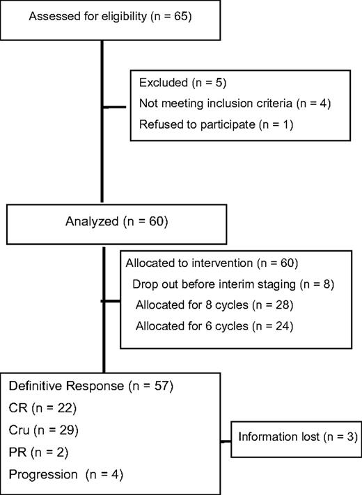 Figure 1. Patients assessed and included for final analysis.