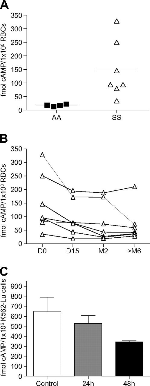 Figure 7. Quantification of intracellular cAMP in RBCs and K562-Lu cells. cAMP levels were measured using an enzyme immunoassay. (A) cAMP levels in 4 AA and 7 SS RBC samples. Each dot represents the measured cAMP value in 108 RBCs from one patient. The horizontal lines are medians. (B) cAMP values measured in 7 patients during HU treatment at D0, D15, M2, and more than M6. The decrease in cAMP levels was significant (P = .002; Friedman test). (C) Decreased cAMP values measured in K562-Lu cells incubated with HU for 24 and 48 hours.