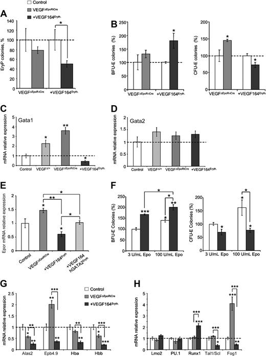 Figure 3. Erythroid Vegf modulates yolk sac erythropoiesis. (A) Primitive erythroid (EryP) colonies from whole E8.5 control (▭), +VEGF164Eryth () and VEGFΔEpoR-iCre () embryos measured by methylcellulose assay. Results are given as percentage of control absolute number of colonies (100%). (B) Definitive erythroid colonies (BFU-E and CFU-E) from E10.5 control (▭+ - - -), +VEGF164Eryth () and VEGFΔEpoR-iCre () yolk sac measured by methylcellulose assays. Cells (1 × 105) were plated and results are given as percentage of control absolute number of colonies (100%). (C-D) Gata1 (C) and Gata2 (D) relative mRNA levels measured by qRT-PCR in E10.5 yolk sac. (E) Expression of Epor mRNA in E10.5 yolk sac from control, VEGFΔEpoRiCre, +VEGF164Eryth, and +VEGF164/hGata2Eryth embryos. Relative Epor mRNA levels were measured by qRT-PCR. (F) Definitive erythroid colonies (BFU-E and CFU-E) from E10.5 control (▭) and +VEGF164Eryth () yolk sac measured by methylcellulose assays in 2 concentrations of Epo (3 and 100 U/mL). Cells (2 × 105) were plated and results are given as percentage of control absolute number of colonies (100%). (G-H) Relative E10.5 yolk sac mRNA levels measured by qRT-PCR of (G) Gata1 target genes Alas2, Epb4.9, Hba and Hbb and (H) transcription factors Lmo2, PU.1, Runx1, Tal1 and Fog1. Bars in panels A through H represent mean ± SEM; *P < .05, **P < .01, ***P < .001.