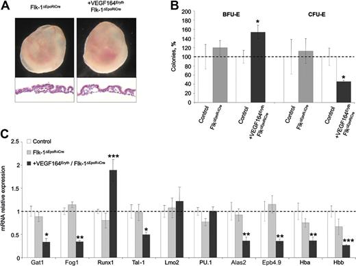 Figure 4. Deletion of Flk-1 in the erythroid lineage cannot rescue the +Vegf164Eryth embryonic lethal phenotype. (A) Images of E10.5 embryos in yolk sac. Yolk sacs of +Vegf164Eryth/Flk-1ΔEpoRiCre embryos were paler and vessels containing red blood cells were absent. Yolk sac section shows decreased circulating cells in blood island, compared with Flk-1ΔEpoRiCre embryos (magnification, 200×). (B) Definitive erythroid colonies (BFU-E and CFU-E) from E10.5 yolk sac; control (▭), +Vegf164Eryth/Flk-1ΔEpoRiCre (), and Flk-1ΔEpoRiCre () yolk sac measured by methylcellulose assay. Cells (1 × 105) were plated and results are given as percentage to control absolute number of colonies (100%). (C) Relative mRNA expression levels of erythropoietic transcription factors and Gata1 target genes. Bars represent mean ± SEM; *P < .05, **P < .01, ***P < .001.