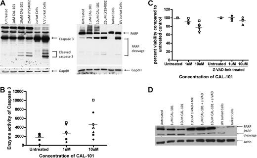 Figure 3. CAL-101 cytotoxicity against CLL cells is partially dependent on caspase activity. (A) CD19+ cells from patients with CLL (n = 4) were incubated with or without 1 or 10μM CAL-101 or 25μM LY294002 (pan-PI3K inhibitor) for 12 hours, and caspase-3 and PARP were assessed by immunoblot. Results are shown from 1 of 4 experiments. (B) CD19+ cells from patients with CLL (n = 7) were incubated with or without 1 or 10μM CAL-101 for 12 hours. Cells were lysed, and caspase activity was determined by the amino trifluoromethyl coumarin assay. Results were calculated relative to microgram of protein. Each symbol represents an individual patient. (C) CD19+ cells from patients with CLL (n = 6) were incubated with or without 1 or 10μM CAL-101 and 100μM z-VAD-fmk for 48 hours. Viability was determined by annexin/PI flow cytometry and is shown relative to time-matched untreated controls. Each symbol represents an individual patient. Horizontal lines represent the mean. (D) CD19+ cells from patients with CLL (n = 4) were incubated with or without CAL-101 (1-10μM) and 100μM z-VAD-fmk for 12 hours. PARP cleavage was assessed by immunoblot. Results are shown from 1 of 4 experiments.