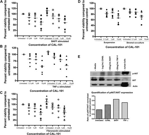 Figure 7. CAL-101 antagonizes alternative microenvironment stimuli activated by PI3K pathway. (A) CD19+ cells from patients with CLL (n = 5-10) were incubated with or without various doses of CAL-101 and 50 ng/mL BAFF for 48 hours. (B) CD19+ cells from patients with CLL (n = 5) were incubated with or without various doses of CAL-101 and 20ng/mL TNF-α for 48 hours. (C) CD19+ cells from patients with CLL (n = 5-10) were incubated with or without various doses of CAL-101 on and off fibronectin-coated plates for 48 hours. (D) CD19+ cells from patients with CLL (n = 7) were isolated from peripheral blood and incubated with or without 1 or 10μM CAL-101 in suspension or on an HS-5 cell layer for 48 hours. Viability was determined by annexin/PI flow cytometry and is shown relative to time-matched untreated controls for each group. Horizontal lines represent the mean. (E) CD19+ cells from patients with CLL (n = 4) were incubated with 1 μg/mL CD40L, 50 ng/mL BAFF, and 20 ng/mL TNF-α for 2 hours. AKT phosphorylation at Ser473 was assessed by immunoblot. Results are shown from 1 of 4 experiments.