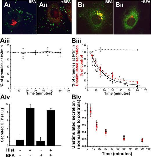 Figure 5. The tPA-EGFP organelle is a short-lived compartment from which unstimulated secretion of tPA-EGFP and cytokines arises. (A-B) Representative examples of fixed cells expressing proregion-EGFP (Ai-ii; 24 hours after Nucleofection) or tPA-EGFP (Bi-ii; 6-7 hours after Nucleofection) and stained with a specific antibody to TGN46 (red in color images) in the absence of BFA (vehicle control; Ai and Bi) or after 1-hour treatment with 5μM BFA. Solid squares and line in panel Aiii represent the mean numbers of WPBs, expressed as a percentage of the total number at t = 3 minutes after addition of BFA, present in cells at the times indicated (n = 6 cells; BFA added at t = 0 minutes). Numbers of WPBs in vehicle-treated control cells at 3, 15, and 60 minute time points, expressed in the same way, are shown in open squares with dashed line (n = 4 cells). (Biii) Similar data for tPA-EGFP-containing puncta. In this case, the numbers of tPA-EGFP-containing granules in BFA-treated cells are plotted individually because of differences in the precise timing of measurements between experiments (n = 9 cells). The solid black line indicates a single exponential decline fitted to the pooled data for all cells. Superimposed on the plot (red circles and red broken line) is the mean decrease in unstimulated secretion of tPA-EGFP in cells treated with BFA. These data are expressed as a percentage of control cells (vehicle-treated) at the times indicated (n = 4 independent experiments each carried out in duplicate; BFA added at t = 0 minutes). Panels Aiv represent ELISA data for secreted EGFP from cells expressing proregion-EGFP. Cells exposed to BFA or vehicle control (1 hour) were stimulated with histamine or vehicle control (10 minutes) as indicated. Data shown are an individual experiment carried out in triplicate and are representative of 3 separate experiments. Panel Biv represents the mean decrease in unstimulated secretion of IL-6 (□), GRO-α (■), and MCP-1 (●) from IL-1β–treated cells exposed to BFA at t = 0. Data are normalized to that of vehicle control-treated cells at the times indicated and represent data pooled from 3 or 4 independent experiments each carried out in duplicate. For comparison, the data for unstimulated secretion of tPA-EGFP in BFA treated-cells plotted in panel Biii are included in red.