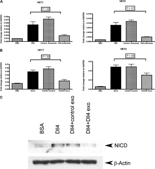 Figure 2. Dll4-containing exosomes inhibit Notch signaling. (A) HUVECs were plated onto bovine serum albumin (BSA)– or Dll4-coated 6-well plates at a density of 3 × 105/well in the presence of either control exosomes (50 μg/mL) or Dll4-containing exosomes harvested from U87 (50 μg/mL). After 24 hours, the cells were extracted in TRI reagent to isolate the RNA. Quantitative polymerase chain reaction protocol was conducted to examine the Notch target genes Hey1 and Hey2. (B) Identical experiment with exosomes isolated from HUVEC control cells or HUVECs plated on Dll4. Samples were analyzed in triplicate. One-way analysis of variance with a Tukey multiple-comparison post hoc test was performed with GraphPad Prism 4.0b software. (C) The same experiment as shown in panel A, except after 24 hours, the cells were lysed in radioimmunoprecipitation assay buffer and subjected to Western blotting to detect the level of NICD or β-actin as a loading control. GAPDH indicates glyceraldehyde-3-phosphate dehydrogenase; and exo, exosomes.