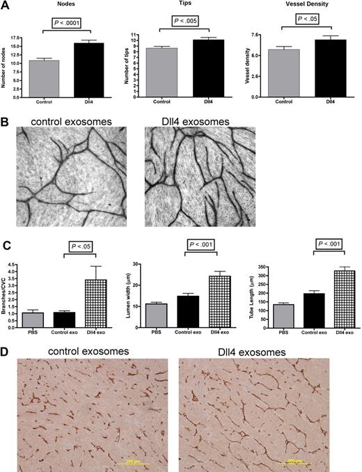 Figure 3. Dll4-containing exosomes increase vessel branching. (A) Normal dermal fibroblasts were seeded onto 24-well plates at a density of 2 × 104/well, and HUVECs were seeded onto the fibroblasts at a density of 4 × 103/well. The cells were cultured for 10 days in EGM2 with either control exosomes (50 μg/mL) or Dll4-containing exosomes (50 μg/mL), with the media changed every 2 days. Cells were fixed and stained as described in “Methods,” and pictures were taken with a Zeiss Axiovert 135 microscope at 5× magnification. (A) Three batches of control exosomes and 3 batches of Dll4-containing exosomes were tested, each in triplicate. Ten images were captured from each well for analysis (a total of 90 pictures for control and 90 for Dll4-containing exosome–treated cells). (B) Representative images were analyzed with ImageJ software for vessel length, size, and density. The number of tips and nodes was also counted. (C) U87 xenografts were grown and injected 3 times per week for 5 weeks with either PBS, control exosomes (Control exo), or Dll4 exosomes (Dll4 exo, isolated from U87 cells) at a concentration of 50 μg/mL. The animals were then killed and the tumors sectioned for vessel staining. A Chalkley vessel count (CVC) was performed for vessel density, and the vessel length and lumen size were estimated with ImageJ. The number of branches was counted manually and normalized to the CVC. Data were analyzed by t test or 1-way analysis of variance with a Tukey multiple-comparison post hoc test with GraphPad Prism 4.0b software and shown as mean with standard deviation. (D) Representative images taken on a Nikon Eclipse E800 microscope at 10× magnification.