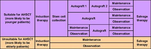 Figure 1. General scheme of treatment in symptomatic myeloma requiring therapy.