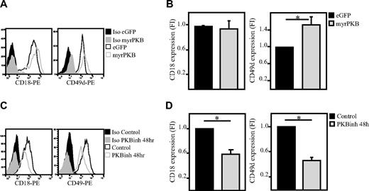 Figure 3. PKB induces membrane expression of integrins on hematopoietic progenitors. CD34+ cells were either retrovirally transduced with myrPKB or eGFP alone (A-B; n = 10 and 8, respectively) or cultured in presence of the PKB inhibitor VIII for 48 hours (C-D); n = 5 and 7, respectively). The expression levels of CD49d and CD18 were determined by flow cytometric analysis. (B,D) Data were depicted as fold induction compared with untransduced or untreated cells. PE indicates phycoerythrin. Error bars represent SEM. Samples significantly different (P < .05) are indicated with horizontal lines and asterisks.