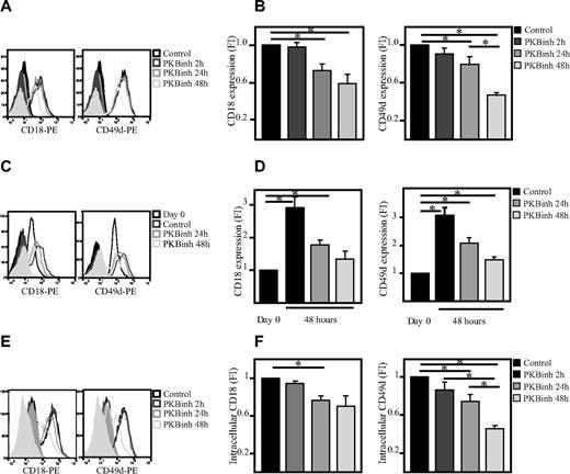 Figure 4. PKB induces expression of integrins. CD34+ cells were cultured in presence of the PKB inhibitor VIII for 4, 24, or 48 hours. Flow cytometric analysis was performed to determine the level of (A) CD18 (n = 5) and CD49d (n = 5). (B) Data were depicted as fold induction compared with untreated cells. (C) CD34+ cells were cultured in the presence of the PKB inhibitor VIII for 24 or 48 hours. Flow cytometric analysis was performed to determine the expression level of CD18 (n = 3) and CD49d (n = 3) directly after isolation and after a 48-hour culture period. (D) Data were depicted as fold induction compared with cells analyzed immediately after isolation. (E) CD34+ cells were cultured in the presence of the PKB inhibitor VIII for 2, 24, or 48 hours. Flow cytometric analysis was performed to determine the intracellular level of CD18 (n = 5) and (CD49d (n = 5). (F) Data were depicted as fold induction compared with untreated cells. Error bars represent SEM. Samples significantly different (P < .05) are indicated with horizontal lines and asterisks.