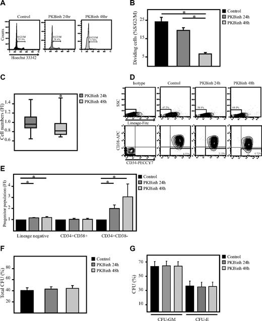 Figure 5. Transient inhibition of PKB does not alter the colony-forming capacity of hematopoietic progenitors. CD34+ cells were cultured in the absence or presence of the PKB inhibitor VIII for 24 and 48 hours, on which (A) cells were stained with Hoechst33342 to determine the percentage of dividing cells (n = 4). (B) Data were depicted as the percentage of cells in S/G2/M phase. (C) In addition, the number of cells in culture was depicted as the fold induction compared with controls in a box plot (n = 12). (D) The percentage of Lin− cells, Lin−CD34+CD38+ cells, and Lin−CD34+CD38− cells was determined by flow cytometric analysis. (E) Data were depicted as fold induction compared with untreated cells (n = 3). (F-G) CD34+ cells were cultured in the absence or presence of the PKB inhibitor VIII for 24 and 48 hours on which the cells were plated into methylcellulose. Colony formation was analyzed after another 12 days of culture. The total number of colonies was scored. Data were depicted as (F) the percentage of cells developed into colonies (n = 7) and (G) the percentage of granulocyte macrophage colony-forming unit (CFU-GM) and erythroid colony-forming unit (CFU-E). Error bars represent SEM. Samples significantly different (P < .05) are indicated with horizontal lines and asterisks.